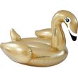 stroma thalassis swim essentials gold swan photo