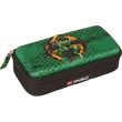 kasetina obal lego ninjago green 3d photo