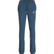 panteloni formas jack jones 12276604 jpstluke sweat pants gms mple photo