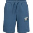 sorts jack jones 12269948 jpstluke sweat shorts gms jnr mple photo