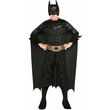 stoli rubie s batman 881286 photo