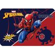 soypla spiderman 43 x 29 cm photo