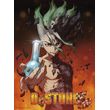 afisa dr stone senku 52x38cm photo