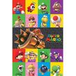 afisa super mario characters 61x915cm photo