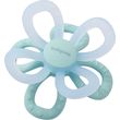masitiko babyono flower blue photo