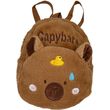 tsanta 11x24x11ek kazura capybara photo