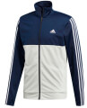 forma adidas performance back2basics 3s tracksuit mple skoyro leyki 7 extra photo 5