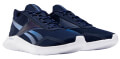 papoytsi reebok sport energylux 20 mple skoyro extra photo 3