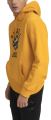 foyter russell athletic 02 pullover hoody kitrino extra photo 2