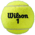 mpalakia wilson roland garros all court 3 ball kitrina extra photo 1