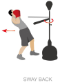 mpala taxytitas olympus sport power spin bar boxing trainer extra photo 5