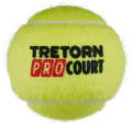 mpalakia tretorn pro court 4 tube tennis balls extra photo 1