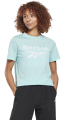 mployza reebok sport identity logo t shirt tirkoyaz extra photo 2