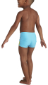 magio speedo tommy turtle aquashort siel extra photo 4