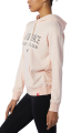 foyter new balance essentials athletic club hoodie roz extra photo 2