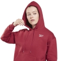 foyter reebok identity fleece hoody foyxia extra photo 3