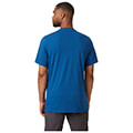 mployza helly hansen nord graphic t shirt mple extra photo 3