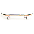 skateboard fish elegant 31 extra photo 1