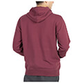 foyter russell athletic authentic sportswear pullover hoody mpornto extra photo 1