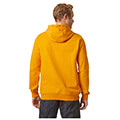 foyter helly hansen hh logo hoodie kitrino extra photo 3