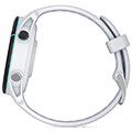 rolo garmin forerunner 255s music leyko extra photo 5
