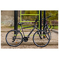 podilato orient volta man 28 21sp gkri extra photo 1