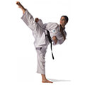 stoli karate adidas performance revoflex kumite k190sk leyki 160 cm extra photo 2