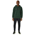 foyter asics big logo oth hoodie ladi l extra photo 5