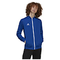 zaketa adidas performance entrada 22 track jacket mple roya extra photo 2