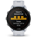 rolo garmin forerunner 955 solar leyko extra photo 3