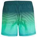 sorts magio o neill jack s cali gradient 15 prasino l extra photo 1