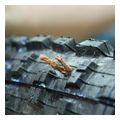 kordonia episkeyis elastikoy xoris samprela genuine innovations side of bacon 20 tmx g20452 extra photo 1