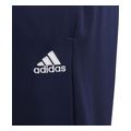 panteloni adidas performance entrada 22 training pants mple skoyro extra photo 2