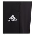 panteloni adidas performance entrada 22 training pants mayro 140 cm extra photo 2