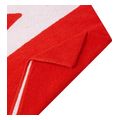 petseta speedo logo towel kokkini 75 x 145 cm extra photo 4