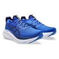 papoytsi asics gel nimbus 27 mple roya extra photo 3