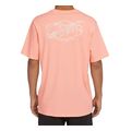 mployza o neill box logo t shirt korali extra photo 3