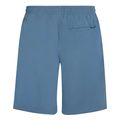sorts magio o neill retro 19 swimshorts mple m extra photo 1