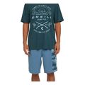 sorts magio o neill retro 19 swimshorts mple m extra photo 4