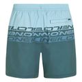 sorts magio o neill cali stripe 16 swimshorts galazio mple extra photo 1