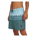 sorts magio o neill cali stripe 16 swimshorts galazio mple extra photo 2