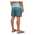 sorts magio o neill cali stripe 16 swimshorts galazio mple extra photo 3