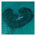 foyskoti sanida sup jobe 11 varna pack mple 335 cm extra photo 4