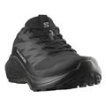 papoytsi salomon alphaglide gtx mayro extra photo 3