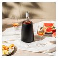 kasetina doroy vacu vin wine set elegant extra photo 3