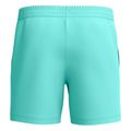 sorts magio speedo essentials 16 tirkoyaz extra photo 5