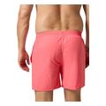 sorts magio speedo essentials 16 korali extra photo 1