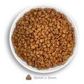 trofi gatas amanova adult sterilised exquisite kotopoylo 6kg extra photo 2