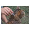 dixie apothitikes ampoyles geraniolis gia gata 4 pipetes extra photo 1