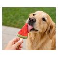 pagoto pup ice karpoyzi 3tmx 90gr extra photo 2